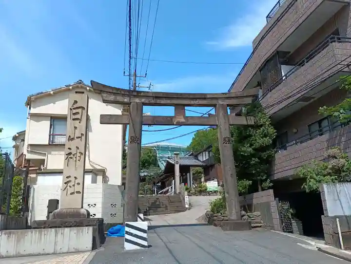 白山神社(東京都)