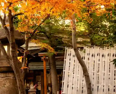 洲嵜神社(愛知県)