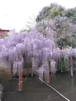 嘉川八幡宮(山口県)