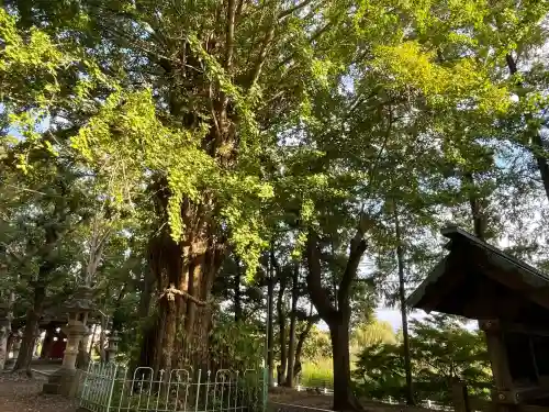 鞆江神社（明地）(愛知県)