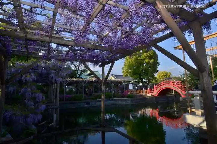 亀戸天神社の庭園
