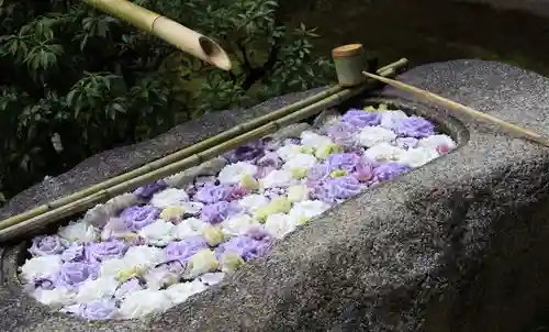 妙顯寺（妙顕寺）(京都府)