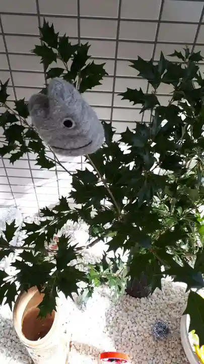 瑞玄寺の手水舎