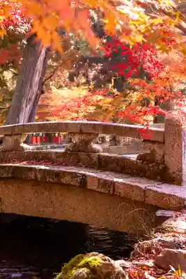 賀茂別雷神社（上賀茂神社）(京都府)