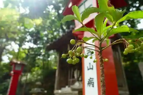 長岡天満宮の自然