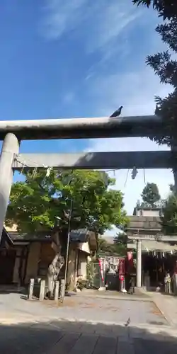 小菅神社(東京都)