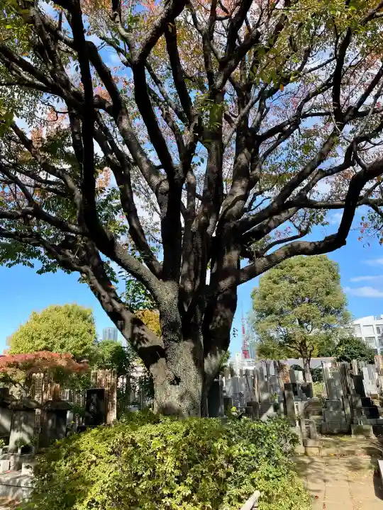 実相寺(東京都)
