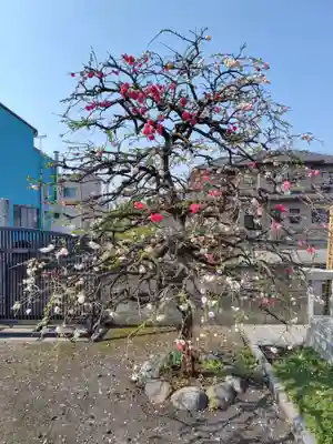 大英寺(埼玉県)