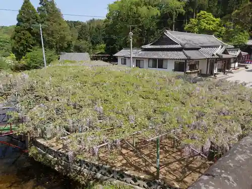 西寒多神社の庭園