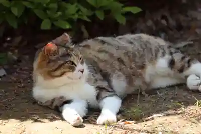 玉野御嶽神社(愛知県)