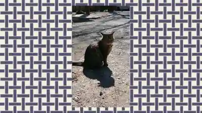 前玉神社(埼玉県)