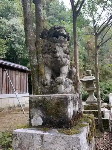 黒田神社の狛犬