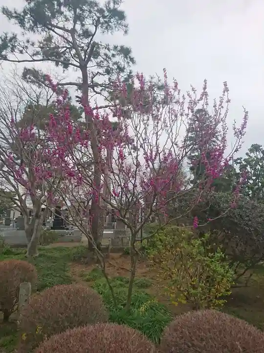 善長寺のその他建物