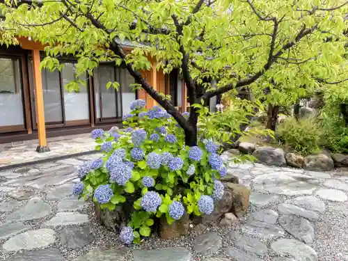 日枝神社(静岡県)