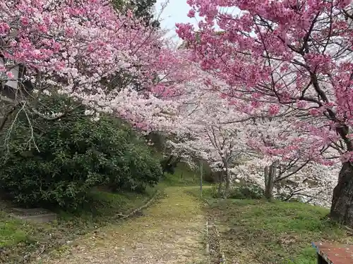 金刀比羅宮の自然