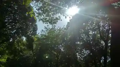 天石門別保布羅神社の自然