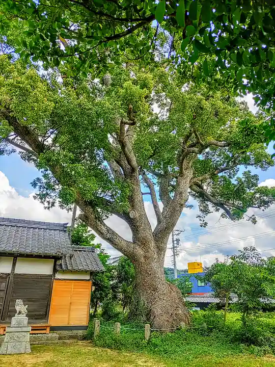 八面神社の自然
