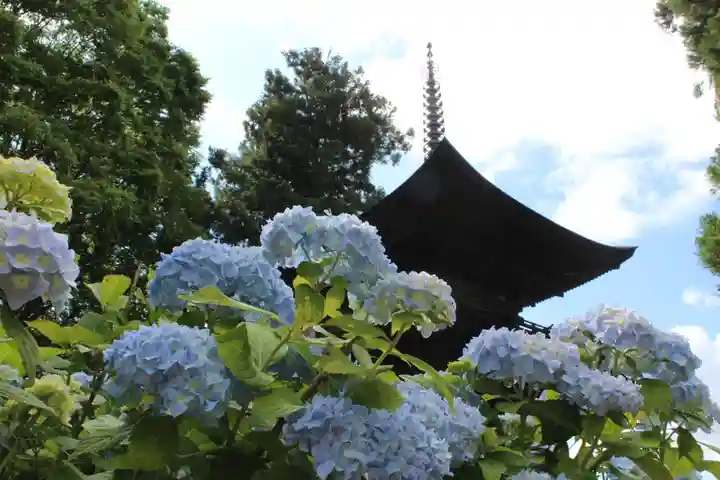 国宝 大法寺の自然