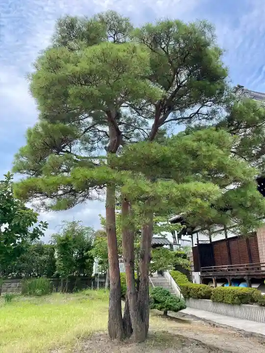 善導寺(福島県)