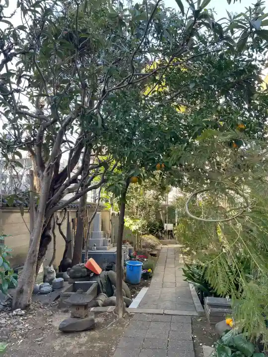 長元寺の{uncategorized: "未分類", other: "その他", undefined: "問題あり", building: "その他建物", grave: "お墓", sacred_gate: "鳥居", guardian: "狛犬", statue: "像", buddha: "仏像", history: "歴史", nature: "自然", garden: "庭園", animal: "動物", pagoda: "塔", temizu: "手水舎", mountain_gate: "山門・神門", sanctuary: "本殿・本堂", subordinate: "末社・摂社", art: "芸術", scenery: "景色", jizo: "地蔵", ema: "絵馬", goshuin: "御朱印", omikuji: "おみくじ", items: "授与品その他", amulet: "お守り", goshuincho: "御朱印帳", eats: "食事", festival: "お祭り", votive_dance: "神楽", shichigosan: "七五三参", wedding: "結婚式", experience: "体験その他", initially: "初詣", around: "周辺", anti_infection: "感染症対策"}