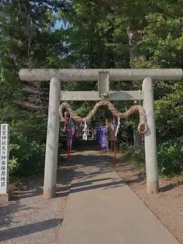 下野 星宮神社の{uncategorized: "未分類", other: "その他", undefined: "問題あり", building: "その他建物", grave: "お墓", sacred_gate: "鳥居", guardian: "狛犬", statue: "像", buddha: "仏像", history: "歴史", nature: "自然", garden: "庭園", animal: "動物", pagoda: "塔", temizu: "手水舎", mountain_gate: "山門・神門", sanctuary: "本殿・本堂", subordinate: "末社・摂社", art: "芸術", scenery: "景色", jizo: "地蔵", ema: "絵馬", goshuin: "御朱印", omikuji: "おみくじ", items: "授与品その他", amulet: "お守り", goshuincho: "御朱印帳", eats: "食事", festival: "お祭り", votive_dance: "神楽", shichigosan: "七五三参", wedding: "結婚式", experience: "体験その他", initially: "初詣", around: "周辺", anti_infection: "感染症対策"}