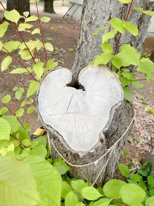 大谷地神社の自然