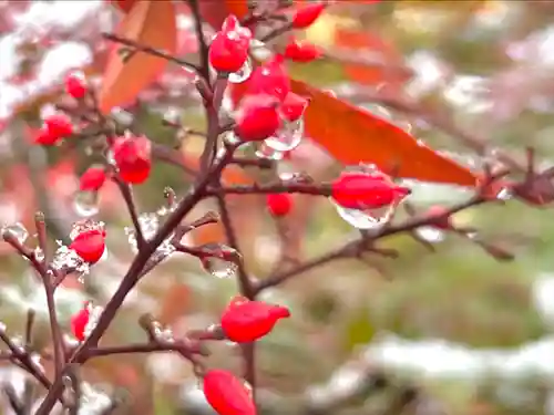 善光寺大本願(長野県)