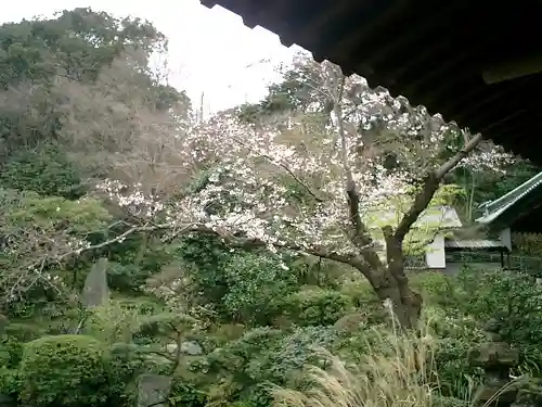 光明寺の庭園