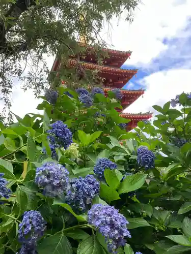 高幡不動尊　金剛寺(東京都)