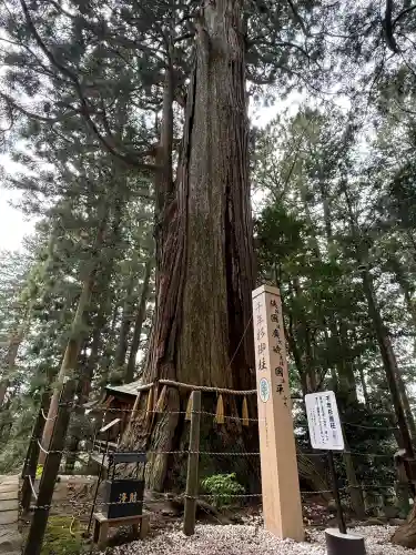 鷲子山上神社(栃木県)
