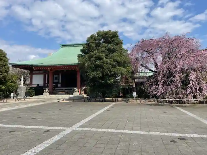 吉祥寺の{uncategorized: "未分類", other: "その他", undefined: "問題あり", building: "その他建物", grave: "お墓", sacred_gate: "鳥居", guardian: "狛犬", statue: "像", buddha: "仏像", history: "歴史", nature: "自然", garden: "庭園", animal: "動物", pagoda: "塔", temizu: "手水舎", mountain_gate: "山門・神門", sanctuary: "本殿・本堂", subordinate: "末社・摂社", art: "芸術", scenery: "景色", jizo: "地蔵", ema: "絵馬", goshuin: "御朱印", omikuji: "おみくじ", items: "授与品その他", amulet: "お守り", goshuincho: "御朱印帳", eats: "食事", festival: "お祭り", votive_dance: "神楽", shichigosan: "七五三参", wedding: "結婚式", experience: "体験その他", initially: "初詣", around: "周辺", anti_infection: "感染症対策"}