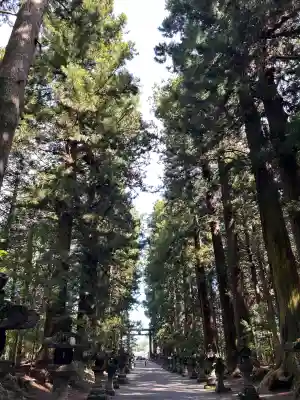 北口本宮冨士浅間神社(山梨県)