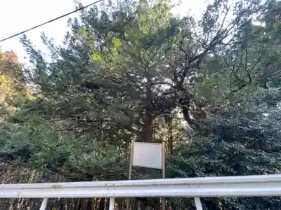 熊野神社(滋賀県)