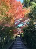 高台寺(高台寿聖禅寺・高臺寺)(京都府)