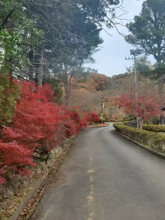 長林寺(山川長林寺)の周辺