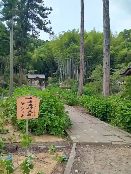 月照寺(島根県)