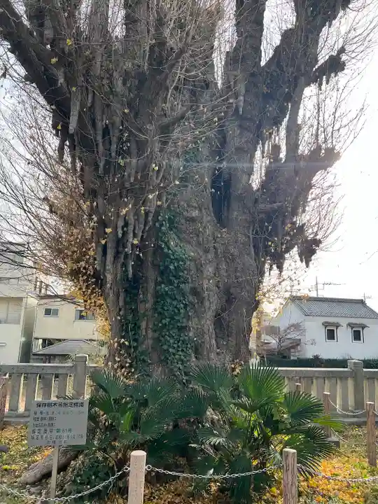 前橋八幡宮(群馬県)