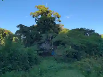 嚴島大神(千葉県)