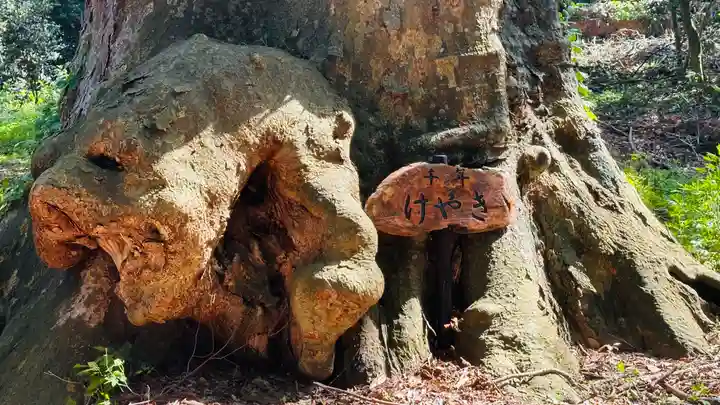 信主神社(福井県)