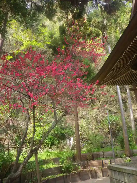 御霊神社の自然