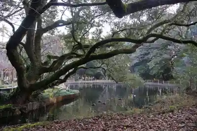 宮崎神宮(宮崎県)