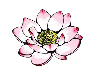 日蓮宗 恵日山 妙福寺(岡山県)