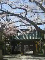 妙隆寺の山門・神門