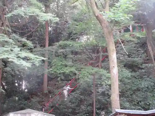 水澤寺(水澤観世音)のその他建物