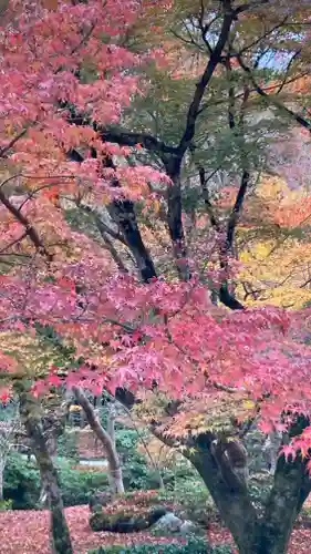 圓光寺(京都府)