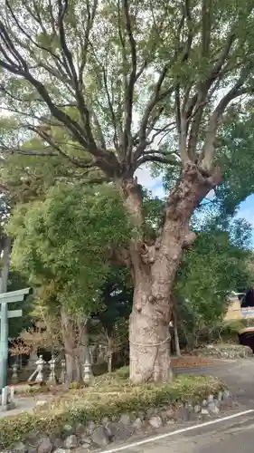 大頭龍神社(静岡県)