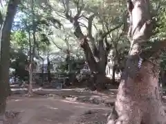 生田神社(兵庫県)