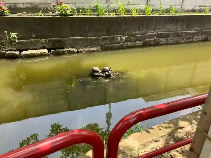 磐井神社(東京都)