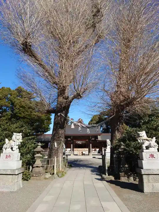 亀ケ池八幡宮(神奈川県)