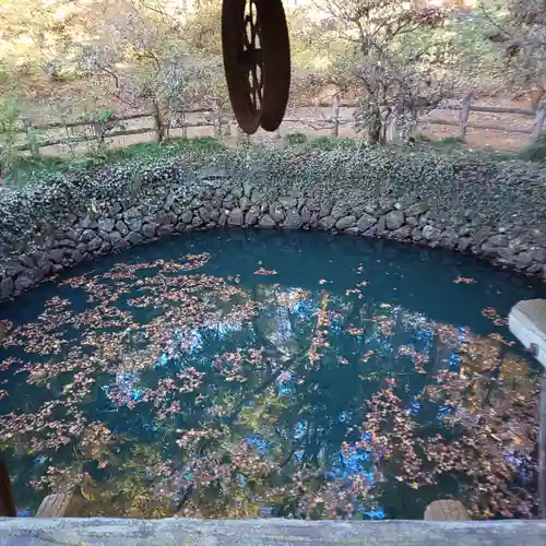 唐澤山神社の庭園